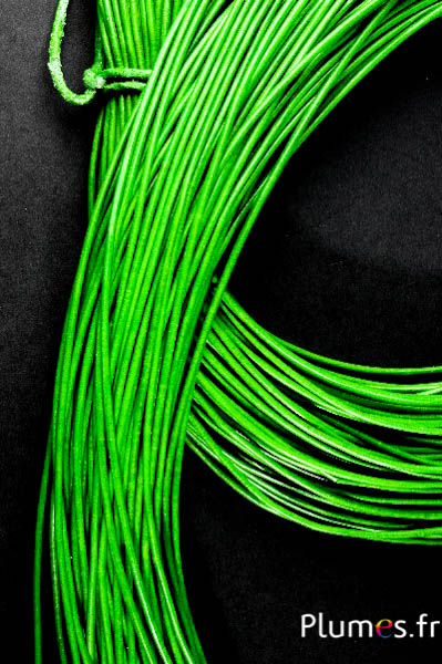 Lacet en cuir - épaisseur 2 mm - lime